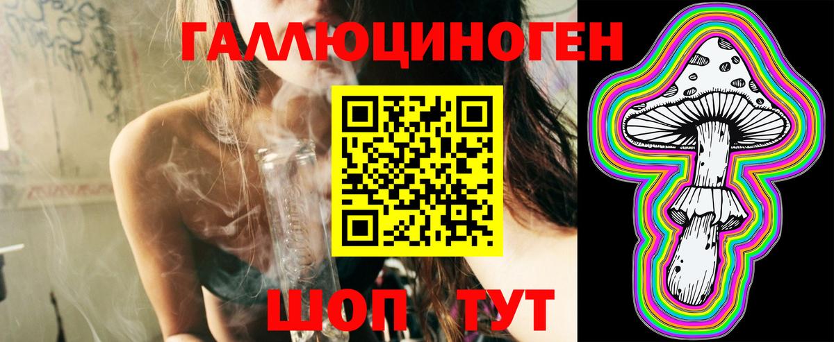 Псилоцибиновые грибы Psilocybine cubensis  Вход с VPN  Псилоцибиновые грибы мицелий  Узловая 