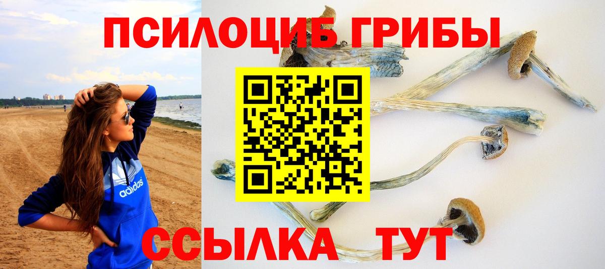 Галлюциногенные грибы Psilocybine cubensis Узловая
