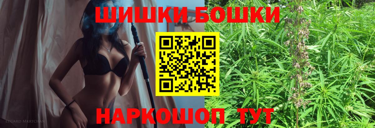 Канабис сатива Узловая